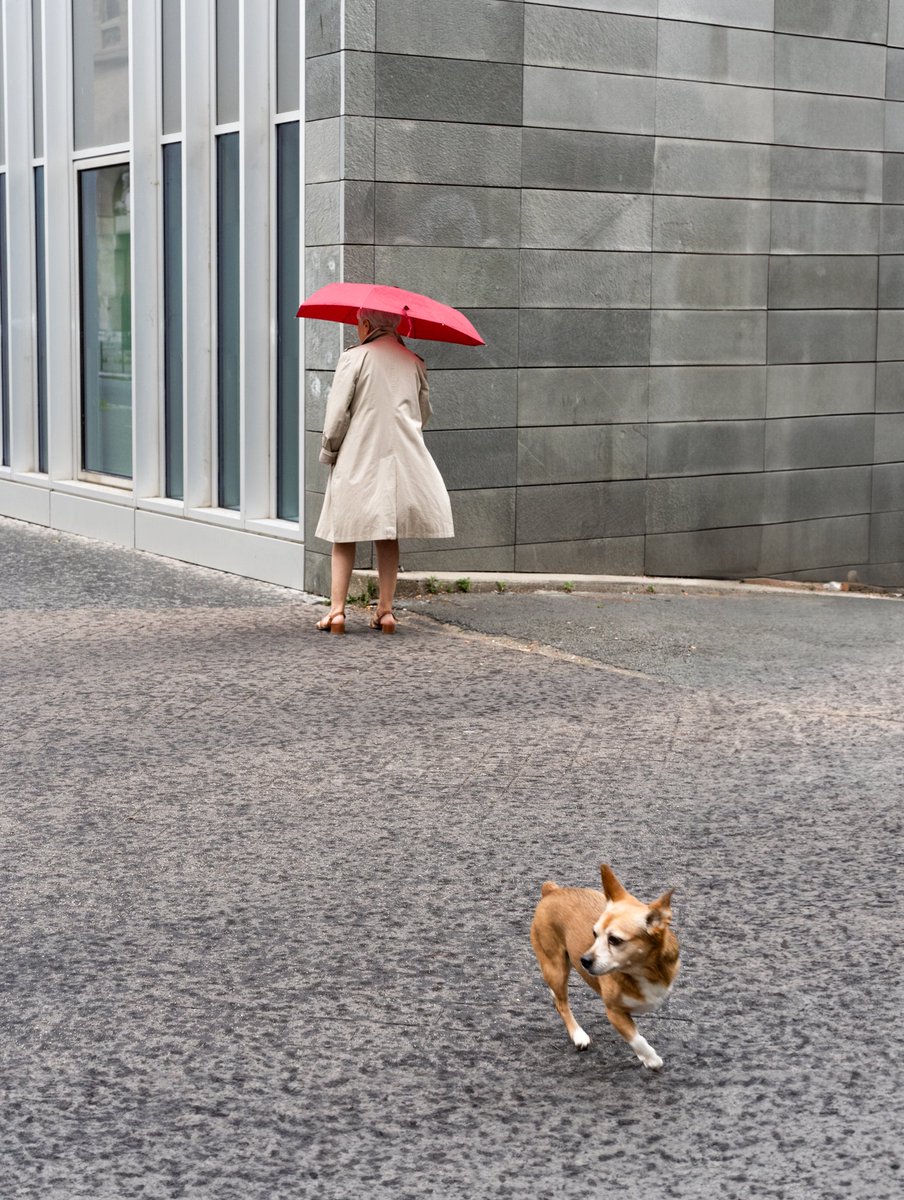 #streetphotography #streetphotographer #sony #a7iii #sigma2470art #sigma #paris #photoftheday