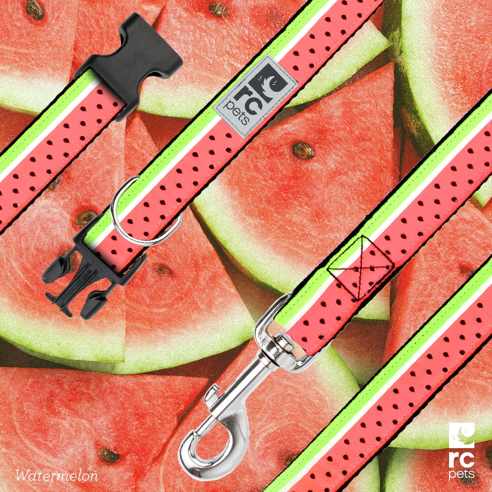 🍉 🍉 🍉 It's National Watermelon Month! 🍉 🍉 🍉

Did you know? Pet guardians have been choosing our collars and leashes for their fur buddies for over 20 years! 

Shop our fun Watermelon print and more at: l8r.it/9naK 

#rcpets #inspiredbypets #makeeverydayatreat