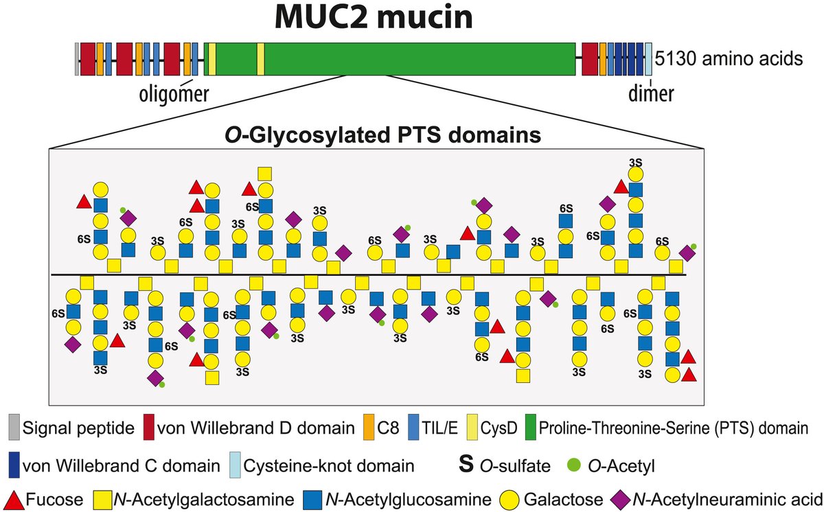 Cell Host & Microbe tweet media