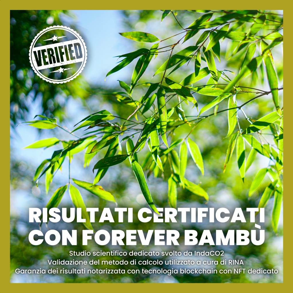 Scopri come ottenere risultati certificati e riconosciuti! 🎍

Per ulteriori informazioni ➡️ foreverbambu.com

#foreverbambù #foreverzeroco2 #bambùgigante #sostenibilità #sustainability #sostenibilitàambientale #climatechange #climate