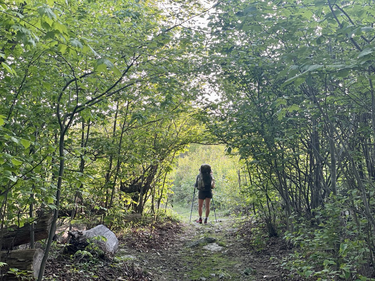 AT_Conservancy's tweet photo. Here's some #WednesdayWisdom for #NationalForestWeek: “Time spent among the trees is never wasted time” — Katrina Mayer
#ForestMode
📸 Image shows hiker, Joanne Gigliotti, walking through a green tunnel of trees near Quarry Gap. Photo by Chloe "Pickleberry" Gigliotti. https://t.co/hAq9CrAvjV