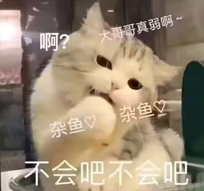 Nyaaaaaanyaaa's tweet photo. https://t.co/KNFYmugkw5