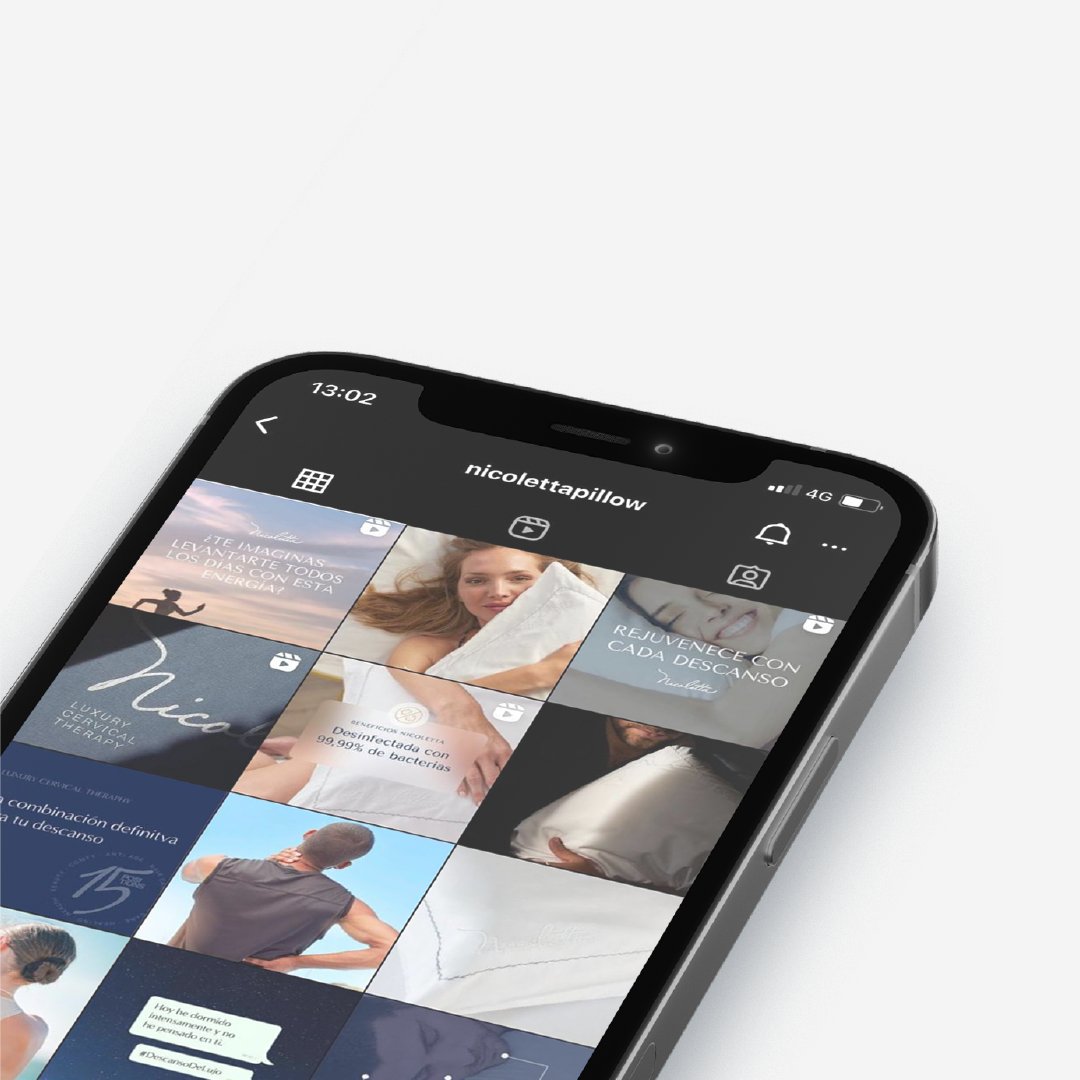Zookö Agencia Creativa tweet media