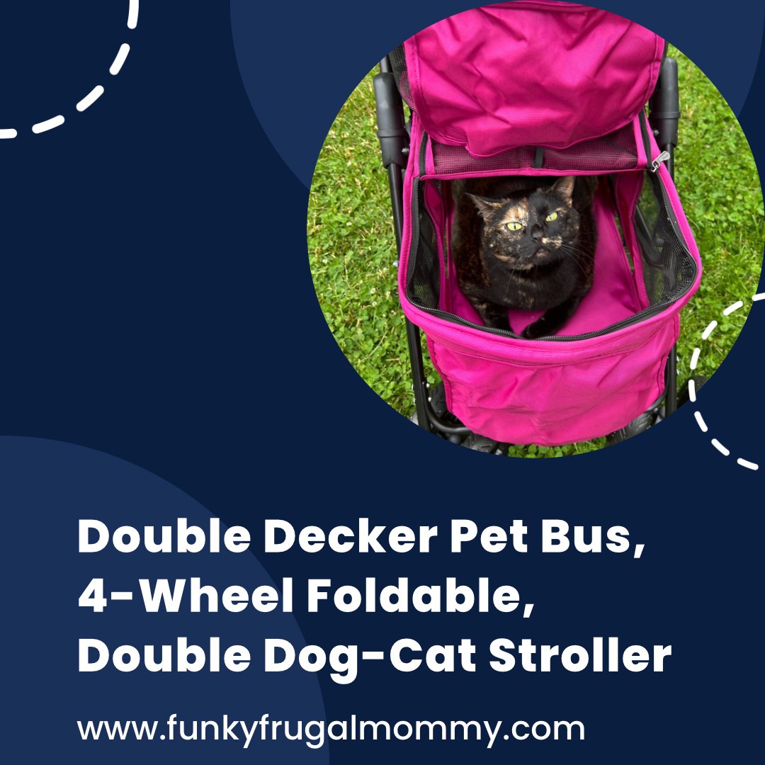 Double Decker Pet Bus, 4-Wheel Foldable, Double Do... funkyfrugalmommy.com/2023/07/double… ⁣
.⁣
#catlover #catlovers #catloversclub #catoftheday #catphoto #cats_of_instagram #catsagram #catstagram #cutecats #ilovemycat #instacat #kittens #kitty #meow #stroller #thisismotherhood #toddler