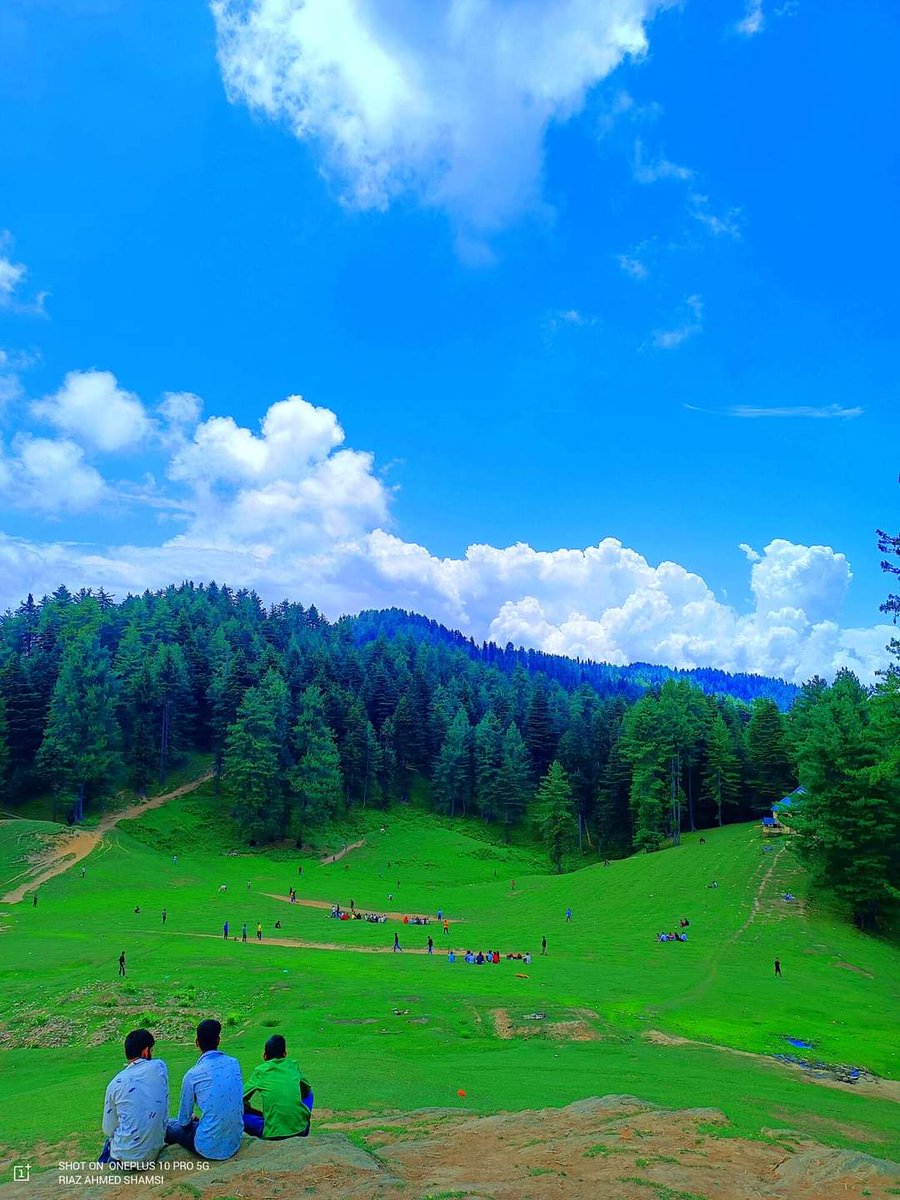 natnoosarshad's tweet photo. Amazing view of Daldraman Gundna, Doda! One of the most beautiful tourist destination of District Doda.
#OffbeatDestination #UnexploredPlace
@vishesh_jk @Devansh_IAS @Qayoomkps @JammuTourism @sunaina1977 https://t.co/pUFkGYckn6