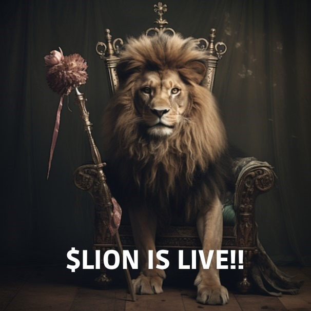 LionCoinERC's tweet photo. 🦁 WE ARE LIVE 🦁

THE JUNGLE IS OPENED FOR THE LION AND HAS LAUNCHED ON THE ETHEREUM BLOCKCHAIN 🚀

Buy : https://t.co/Jr44sUUg1R

#LionCoin https://t.co/lttjPodJF2