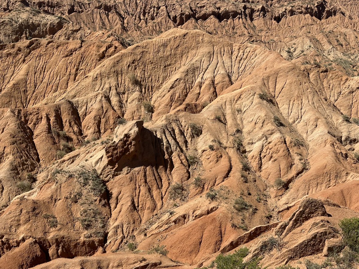 sour77in's tweet image. Far ends of our planet ! 
#africatwin #kilm #revzilla #astrostichroadcrafters #Honda #caynon #mountains #farendsofourplanet #motorcycle #WheelieWednesday