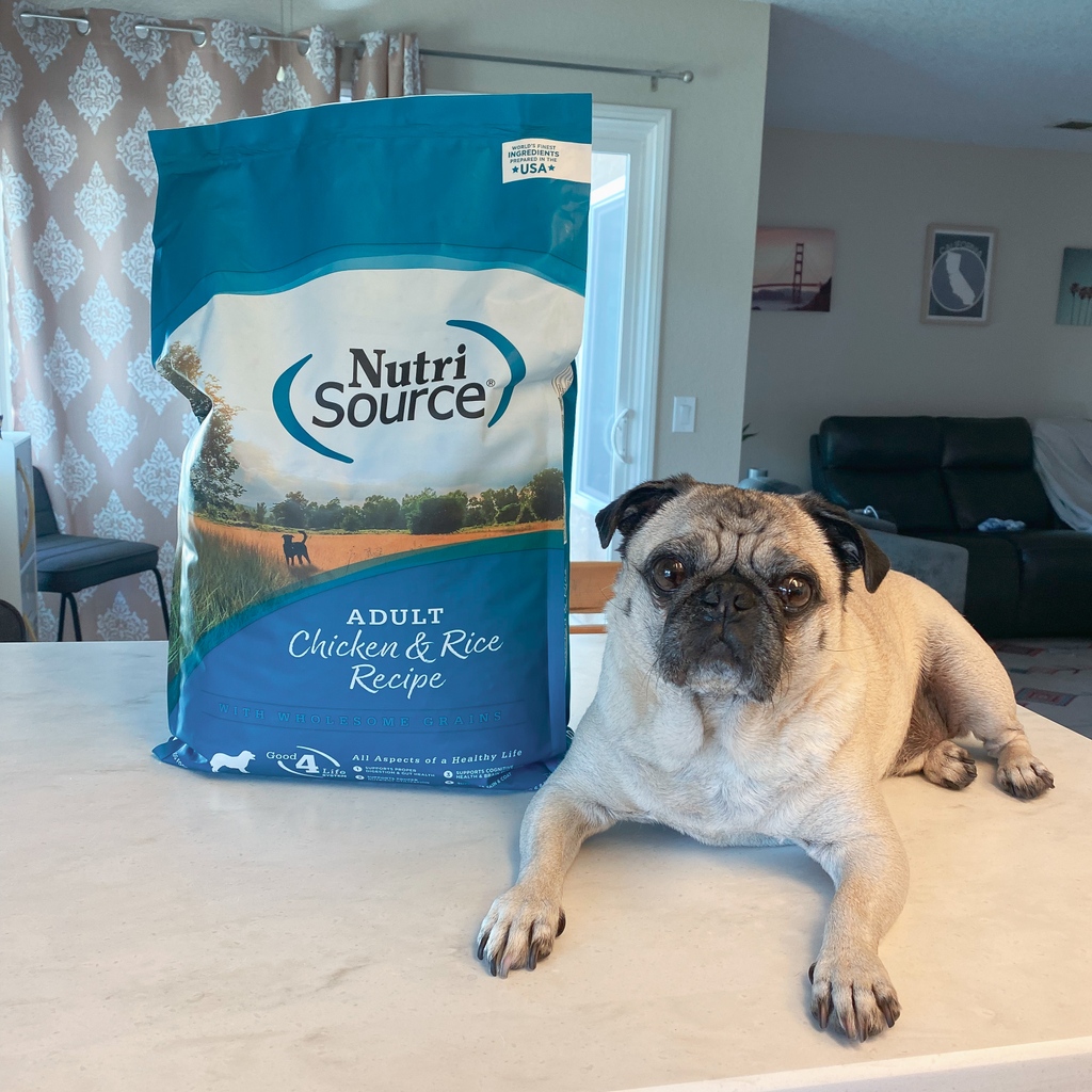 Discover the NutriSource difference! 🐾 They choose premium ingredients, carefully sourced to create nutrient-packed and tummy-friendly foods your pets will love. Special thanks to NutriSource for supporting our Fill the Food Bank campaign. petfood.express/learn/brands-w…