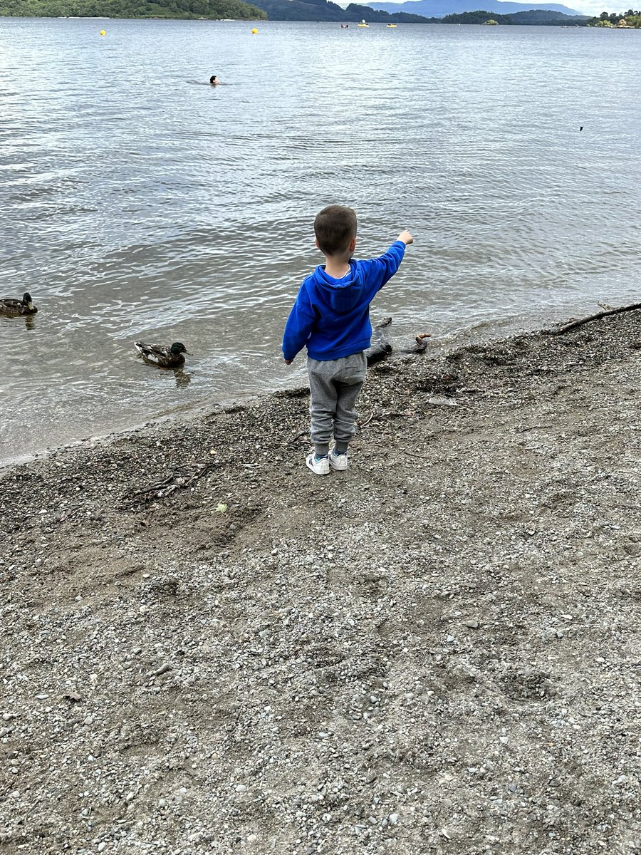 Janice O'Connor tweet media