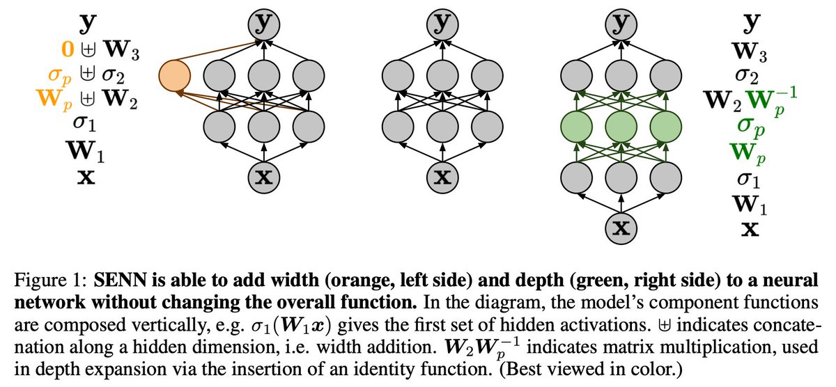 mundt_martin's tweet photo. 🚨Announcing Self-Expanding Neural Networks (SENN): https://t.co/QrYBkWyAV8 @kerstingAIML

SENN can start with 1 unit in 1 layer &amp; use natural gradients to jointly answer when/where/what to add during training. Growing on-the-fly!

New cornerstone for resource-aware &amp; adaptive ML https://t.co/djHKlqbnbm