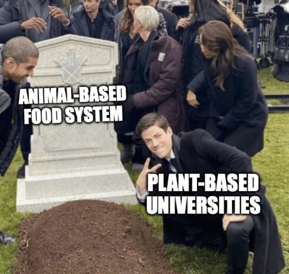 Animal Rising on Twitter: