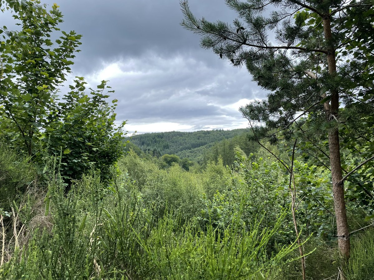 gcampbellmusic's tweet image. Waterfalls, lochs and forests today. #outforawalk #Scotland