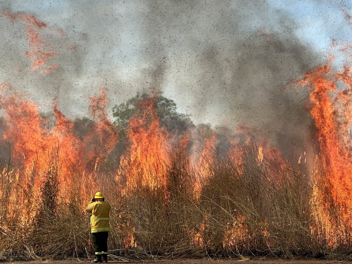 Andrew Gissing tweet media