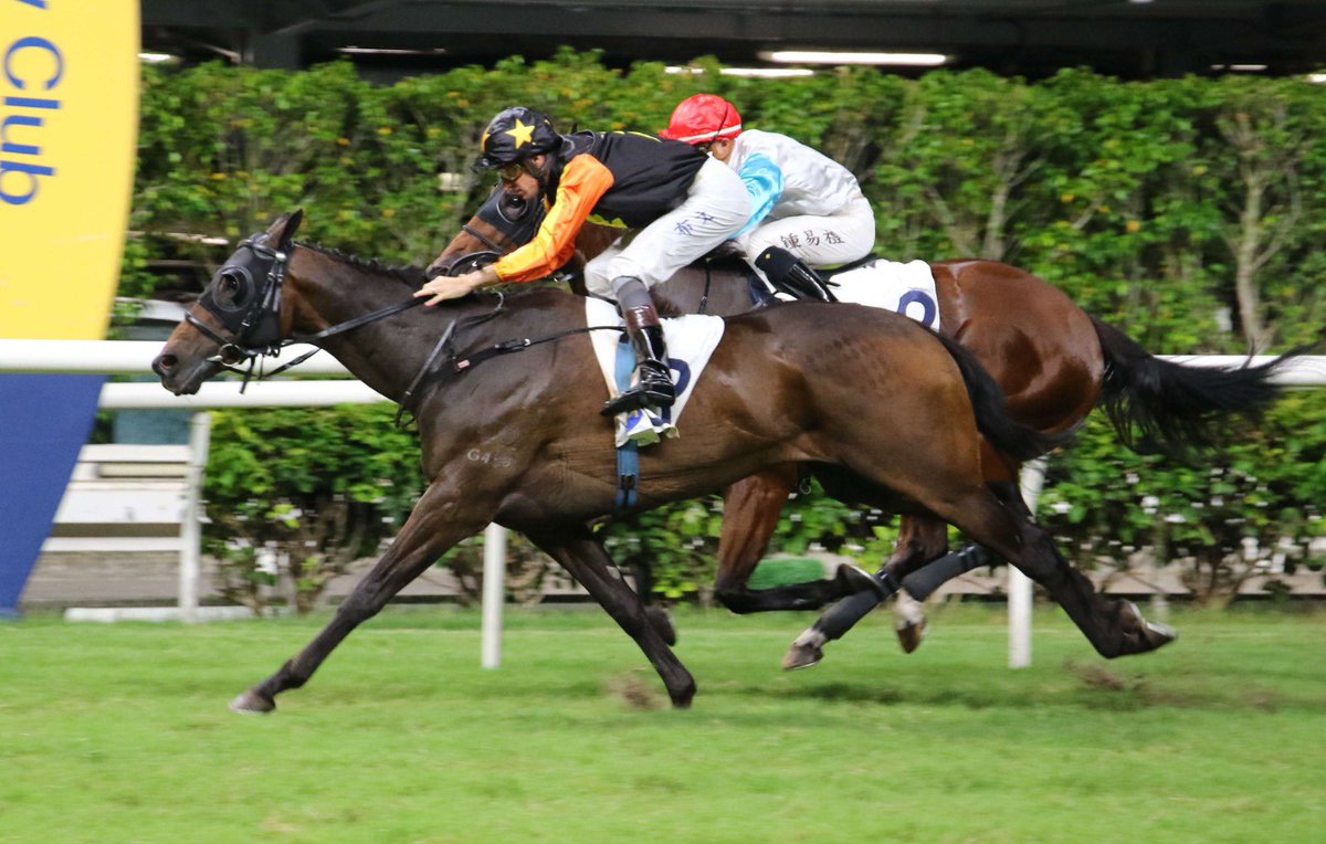 dommillard1's tweet photo. Not the biggest horse on the block, but Togepi makes up for in heart. We were concerned about barrier 11 on a track that appeared to favour the front runners but Hugh Bowman gave the horse a top ride. Congratulations to owner Liu Shun Hong. https://t.co/QSpCR8Y6Ej