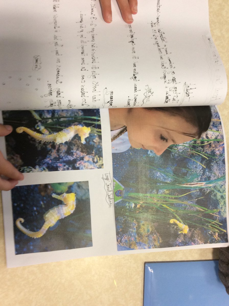 bps_y4's tweet photo. Eggardon show off their creativity. https://t.co/UuSTeXXGm5
