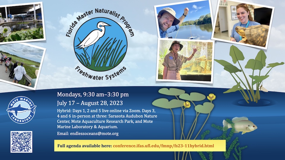 🐊 Join <a href="/MoteMarineLab/">Mote Marine Laboratory & Aquarium</a> for a lifelong learning journey through #Florida #Wetlands. Registration for #FMNP #Freshwater Systems closes tomorrow at noon. conference.ifas.ufl.edu/fmnp/fs23-11hy…