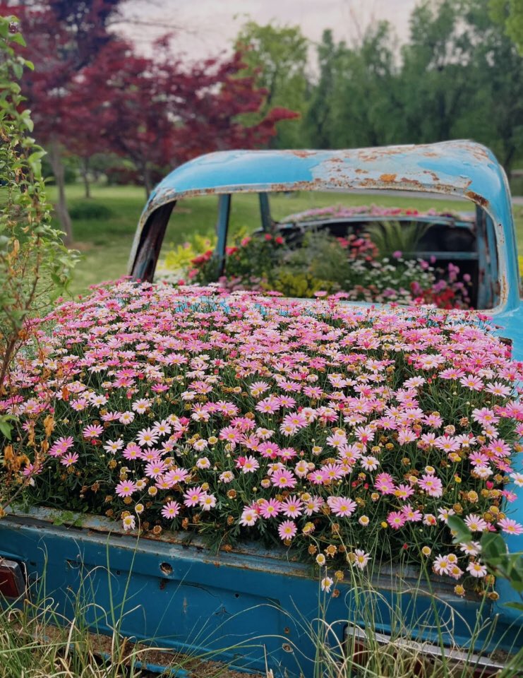 car full of flowers