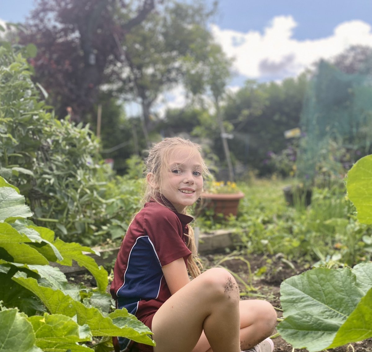 Great Ballard School tweet media