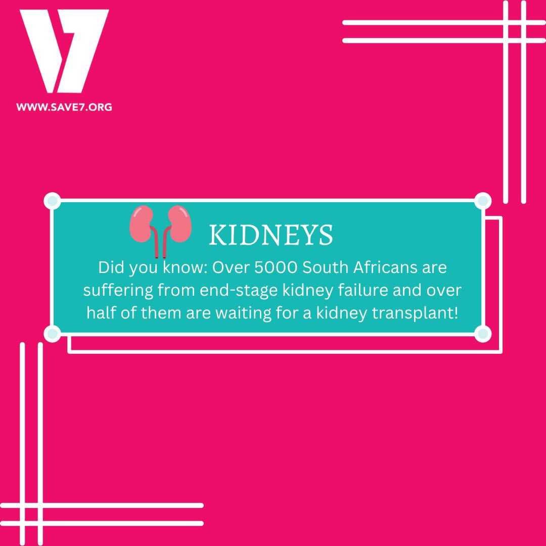 SaveSevenLives's tweet photo. Q and A : Organ Donation Edition 🙌🩺  Have you ever wondered about organ donation? 💡 We would like to open up conversations that can truly make a difference! 💪 To find out more information about becoming an organ donor and saving lives - have a look at our website https://t.co/y6qmwVFlYO