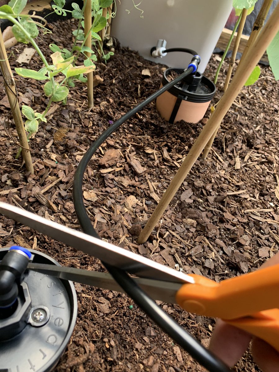 cj_dbabe's tweet image. I chose #plants over #pets thinking it’s gonna be a lesser string attached; on-the-go #lifestyle… 3 months later: I’m toiling over #irrigation set up before I can even #pack my carry-on 🪴✈️👹