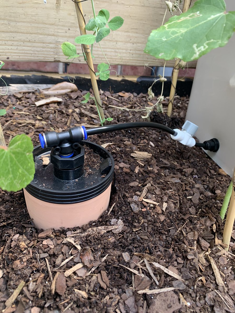 cj_dbabe's tweet image. I chose #plants over #pets thinking it’s gonna be a lesser string attached; on-the-go #lifestyle… 3 months later: I’m toiling over #irrigation set up before I can even #pack my carry-on 🪴✈️👹