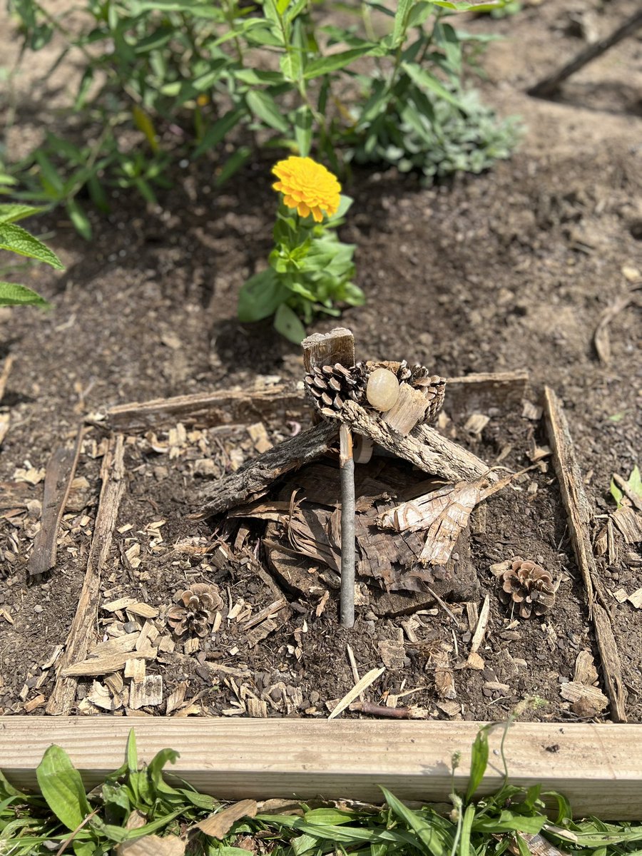 GC_ContinuingEd's tweet image. Look at these beautiful fairy houses our garden campers made today!