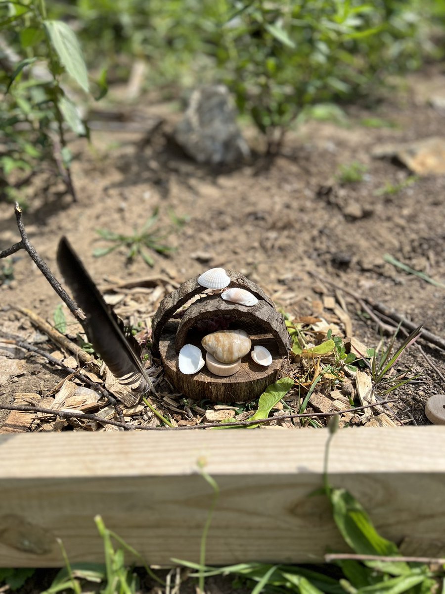 GC_ContinuingEd's tweet image. Look at these beautiful fairy houses our garden campers made today!