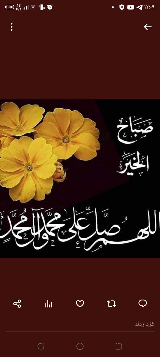 وداد العراقي عراقي tweet media