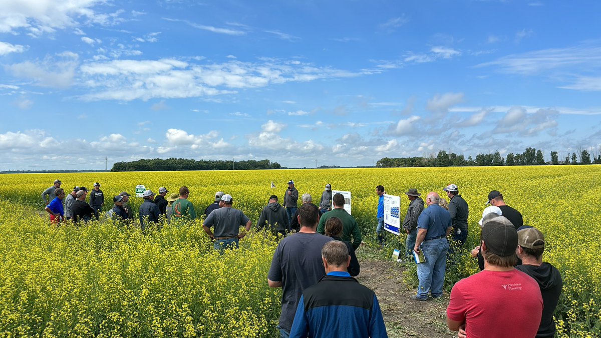 Plains Grain tweet media