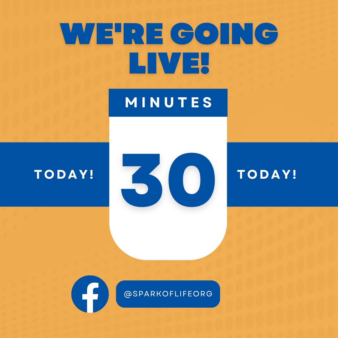 The time is ticking... ⏱️ 30 minutes until we go live on Facebook! Join us for a deep dive into 'The #1 secret sauce of grief recovery'. See you very soon! #HalfHourToGo #YourQuestionsAnswered