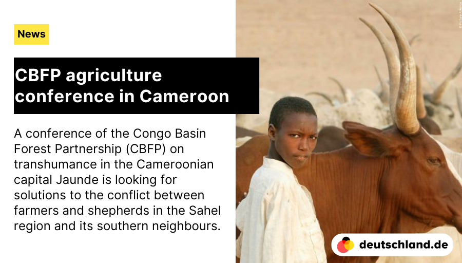 en_germany's tweet photo. +++ CBFP agriculture conference in Cameroon
🇩🇪 Here you will find the most important information on Germany's #foreignpolicy and international relations.
👉 https://t.co/CZGN7Kf0J3
#NewsDE #CBFP #agriculture https://t.co/RfoesSkfjD
