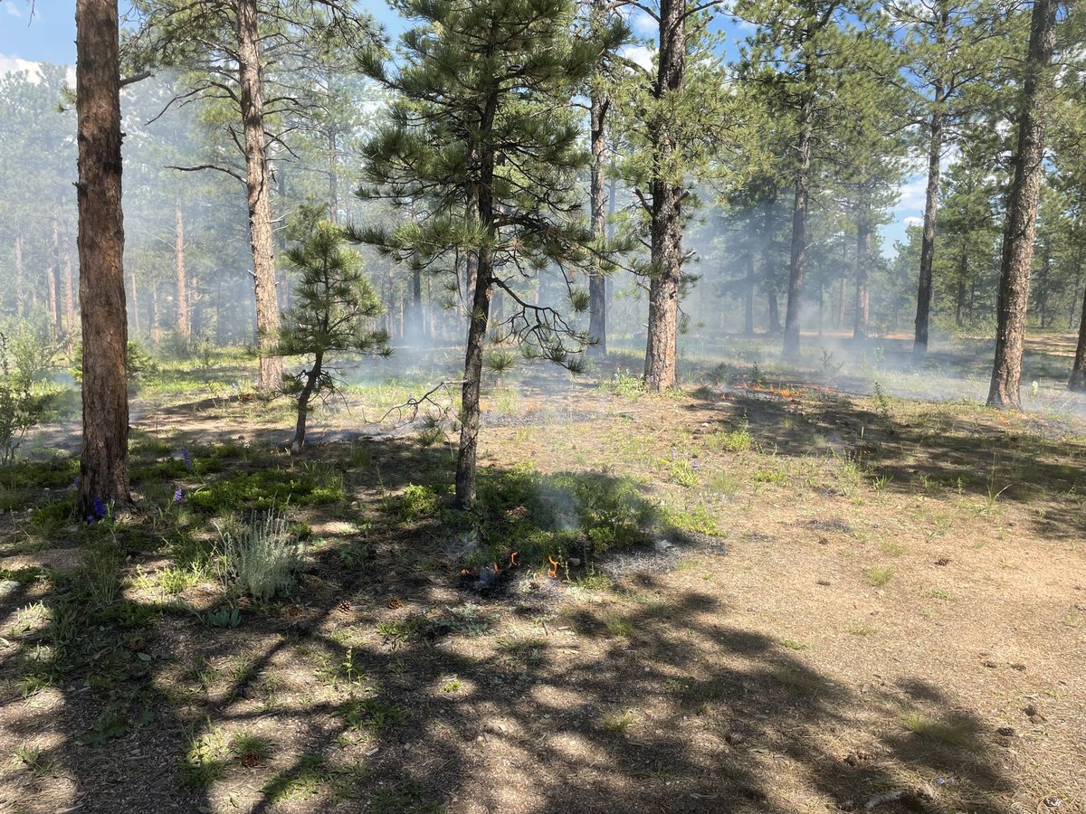 USFS_Pike&San Isabel tweet media