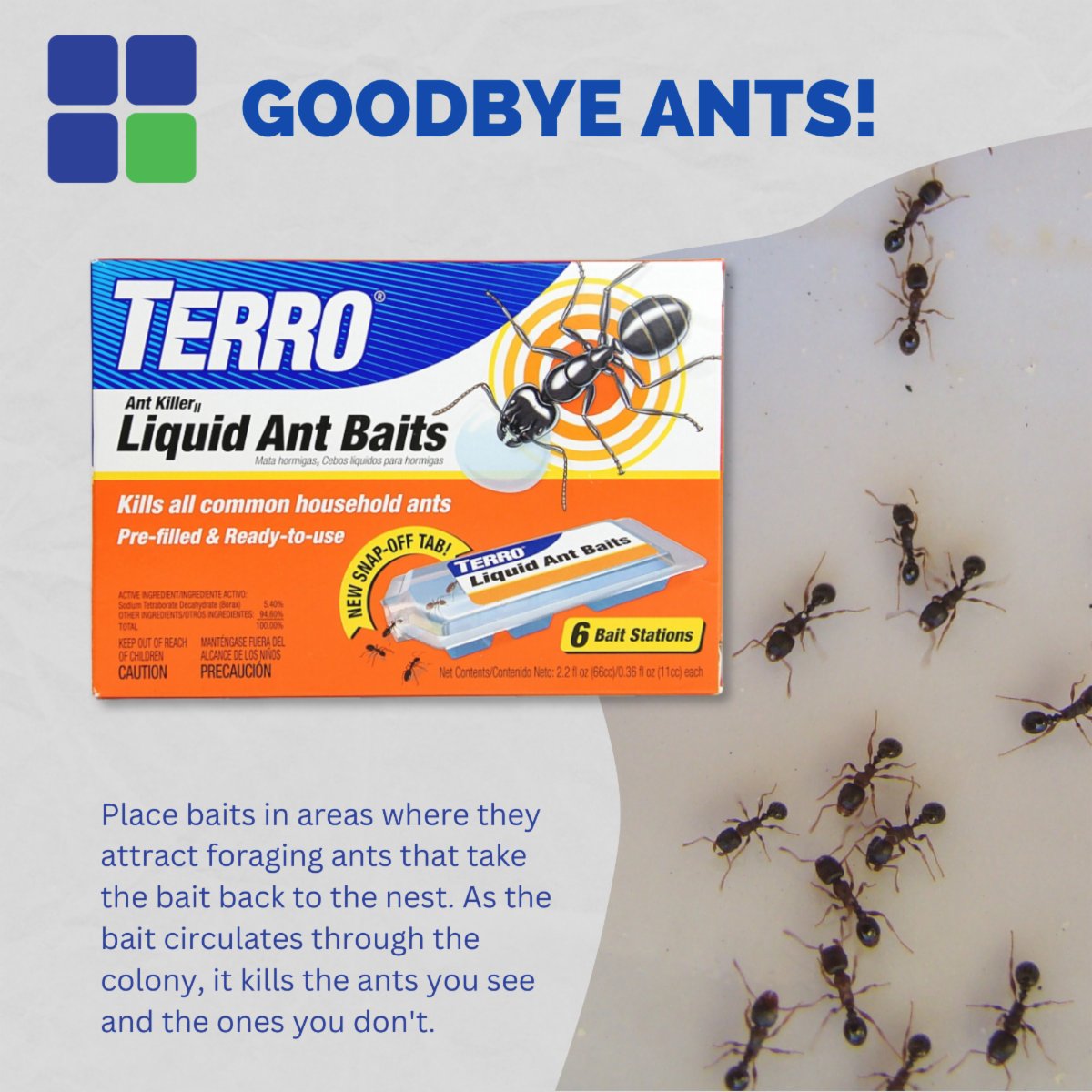 RsiHardware's tweet image. Ants can be a problem anywhere in the home, at work and everywhere in between. Use TERRO® liquid ant baits with the new and improved snap-off tab stations.