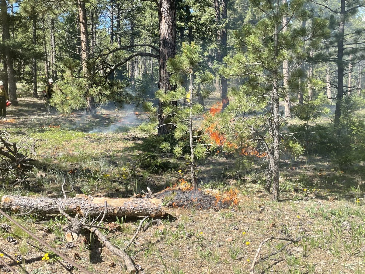 USFS_Pike&San Isabel tweet media