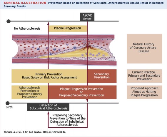 Thomas Coelho Assmann tweet media