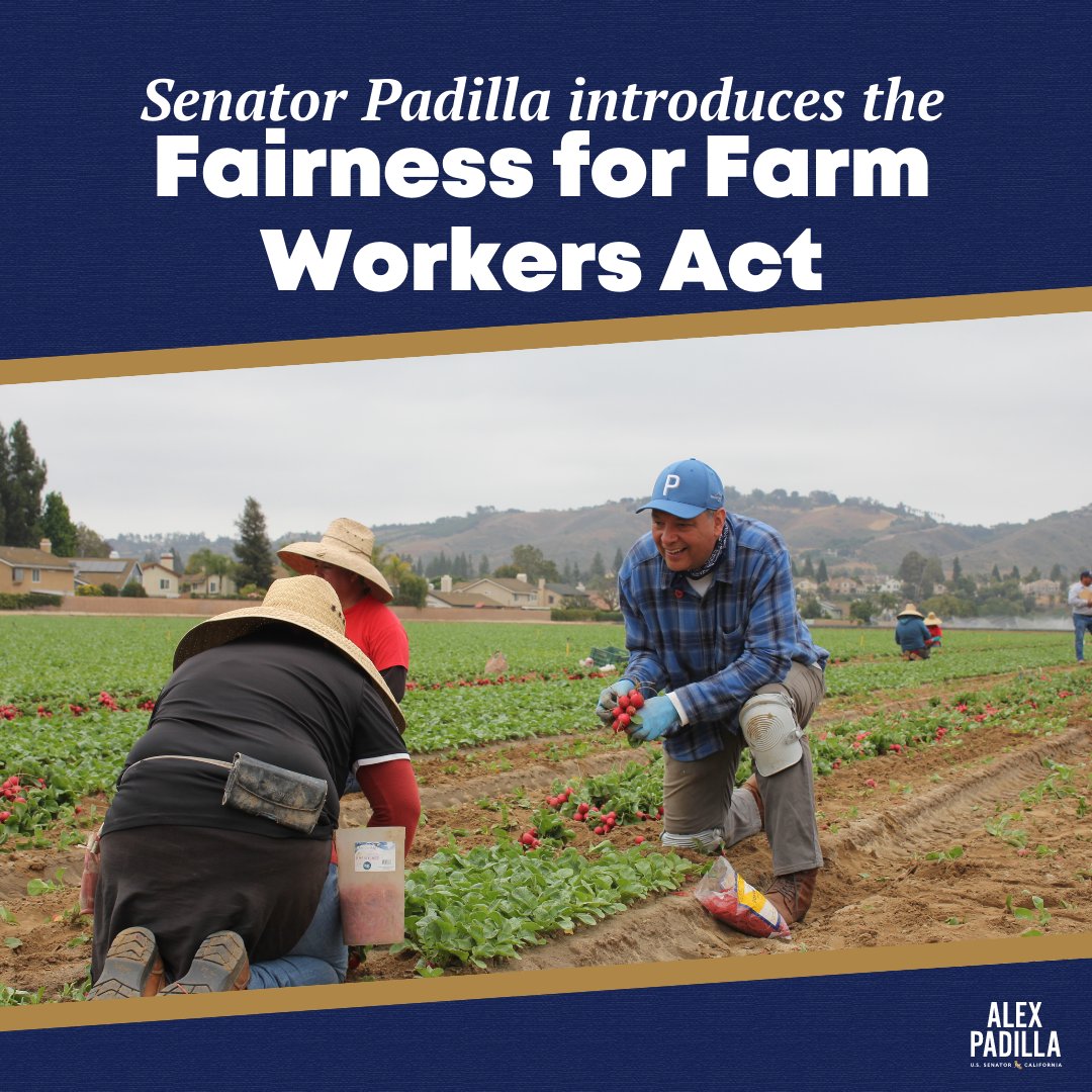 Senator Alex Padilla tweet media