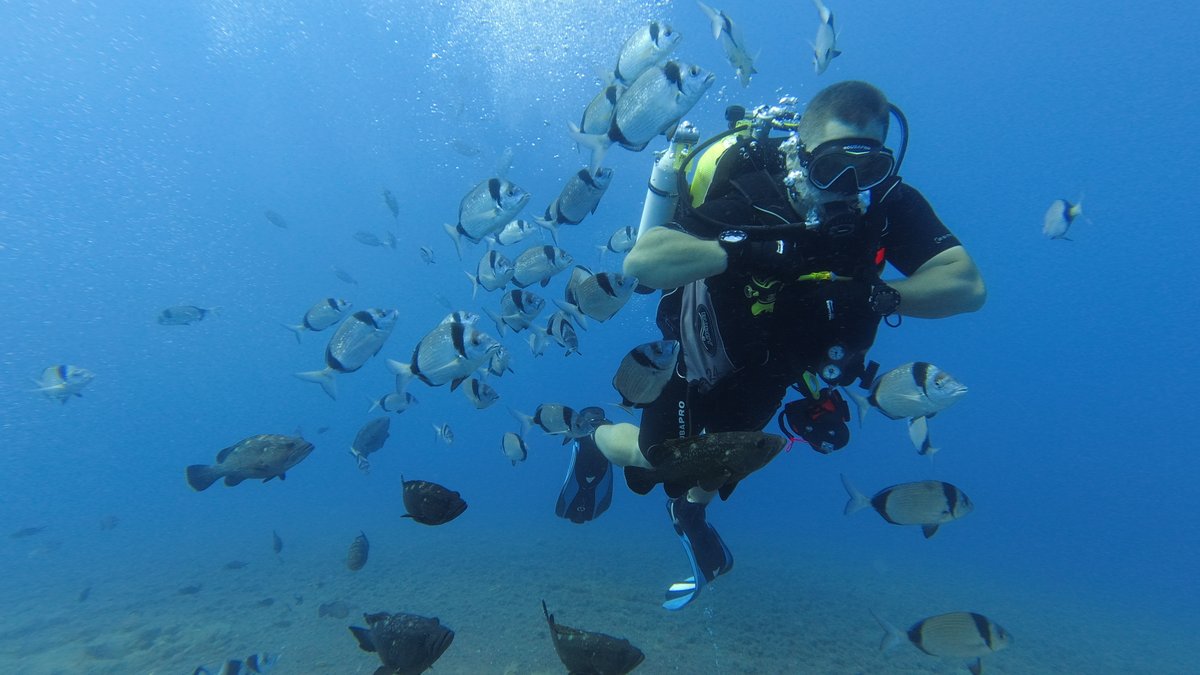 The R Mon RE (M) tweet media