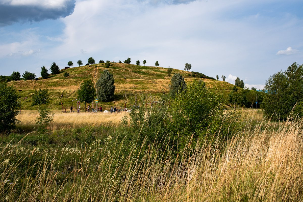 The mound Kaiserberg as seen from a footpath around the lake Phoenix-See. Dortmund, Germany, June 30, 2023.

#photography #mounds #Ruhrgebiet #Ruhrpott #Dortmund #NikonEurope #NikonDACH