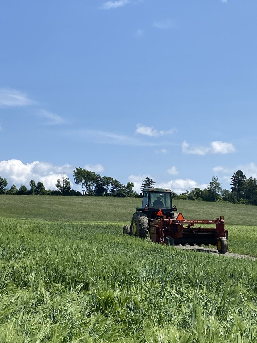 Aden Culberson tweet media