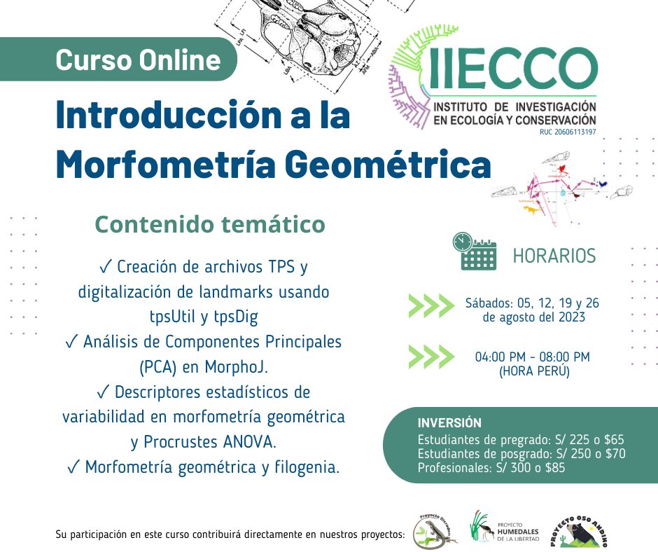 iiecco's tweet photo. 📝Para recibir más información sobre este curso, déjanos tu correo en el siguiente formulario: 👇
https://t.co/aPgknvvfLN

📩 También puedes escribirnos a: 𝗰𝘂𝗿𝘀𝗼𝘀@𝗶𝗶𝗲𝗰𝗰𝗼.𝗼𝗿𝗴 📨
🗣 ¡𝗩𝗔𝗖𝗔𝗡𝗧𝗘𝗦 𝗟𝗜𝗠𝗜𝗧𝗔𝗗𝗔𝗦! https://t.co/dzIVBvjvxu