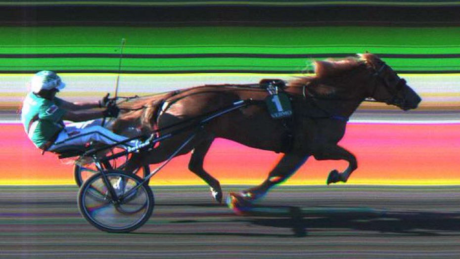 Kyllä oli Viisori jättihyvä. Alkaa ruuna olemaan tikissä😎 Hienoa työtä tehdään Mikalla ja Mirkalla👍