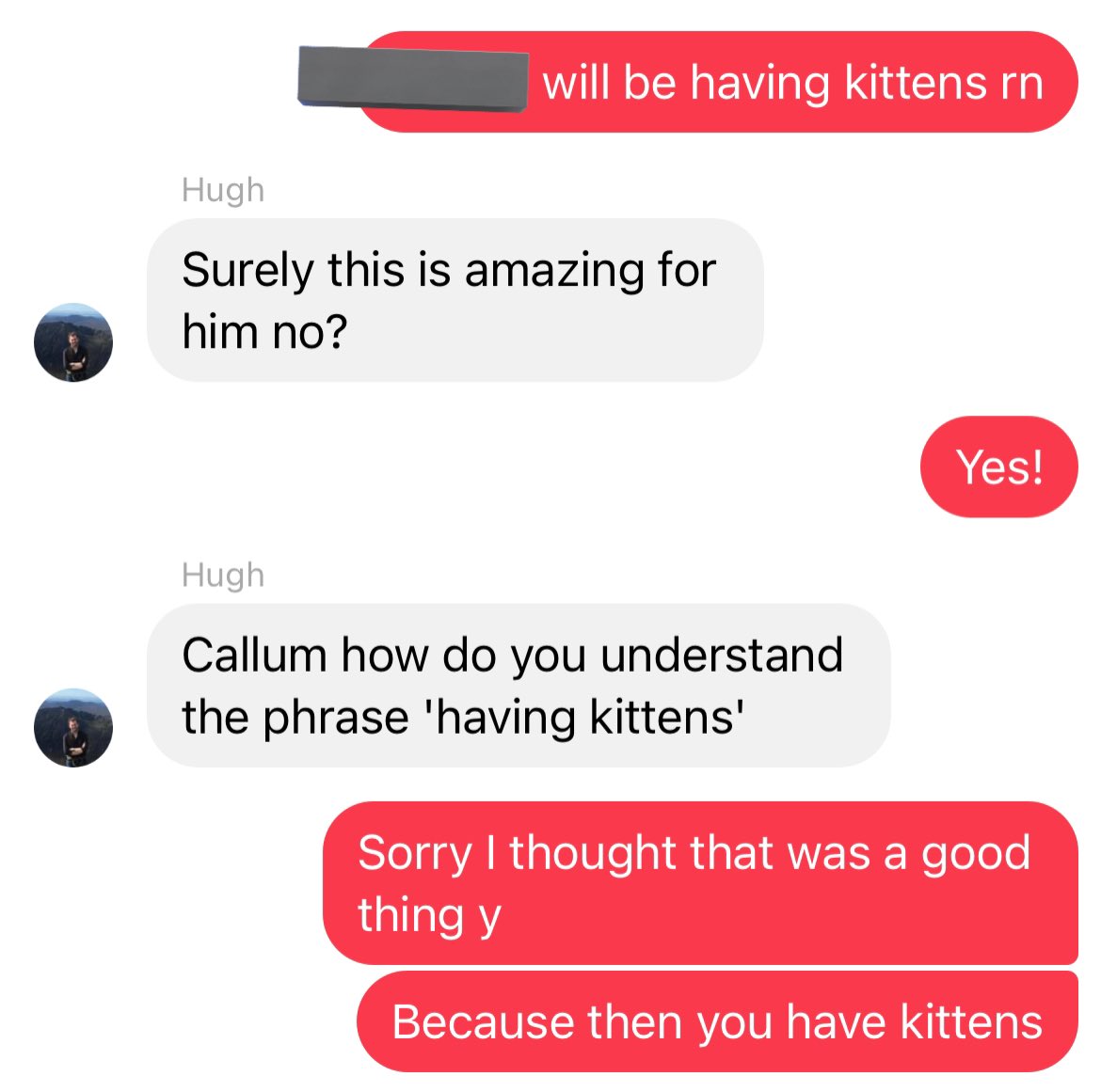 You learn something new every day 🐈‍⬛