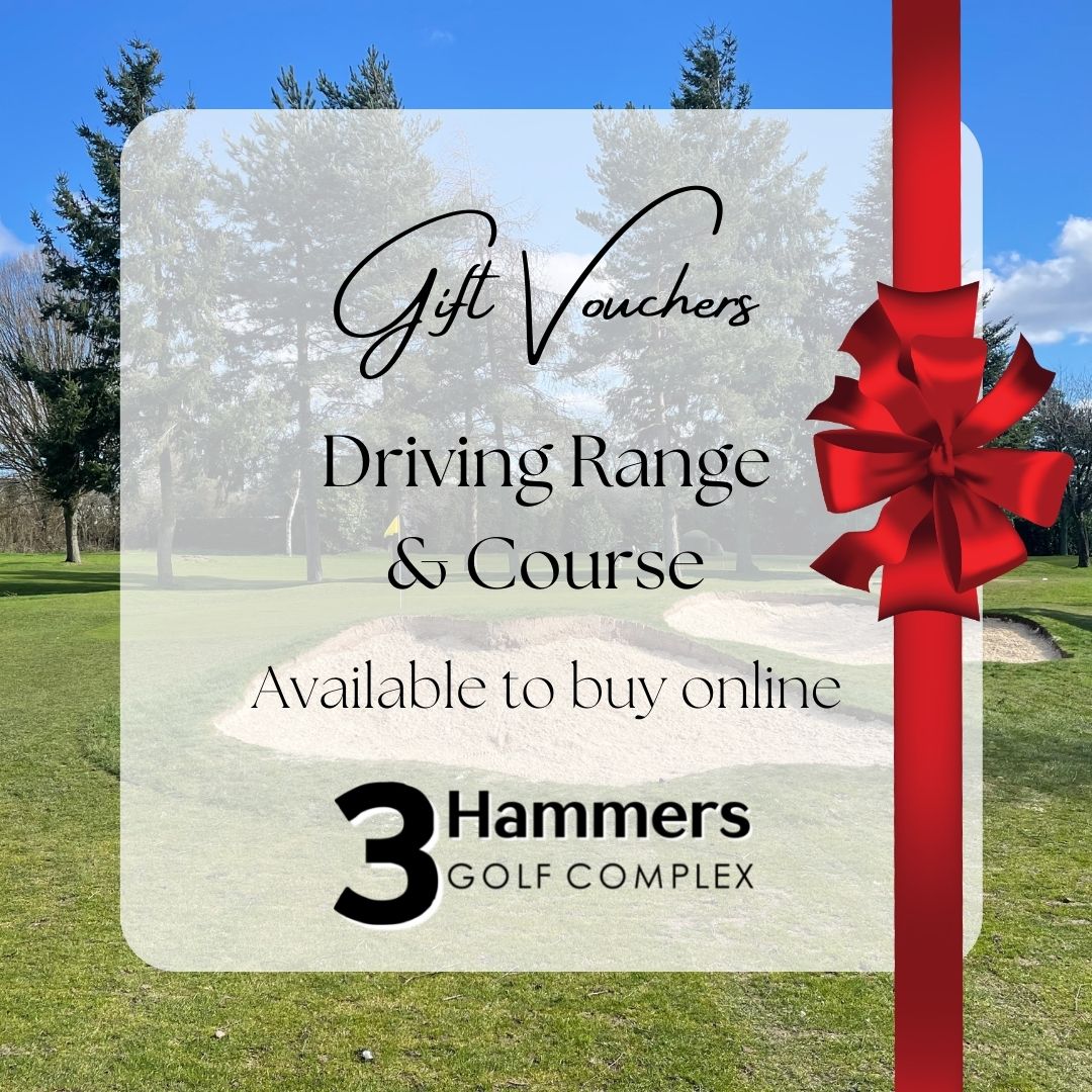 3 Hammers Golf ⛳️ tweet media