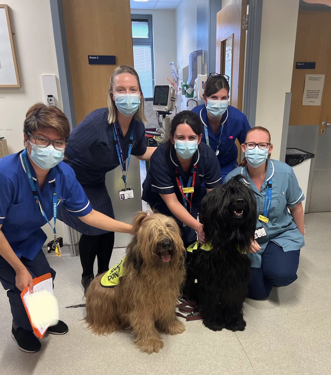 Lovely visit from <a href="/Pooches20781922/">Pooches</a> to HDCU today, patients and staff loved meeting Bertie and Ruby ❤️