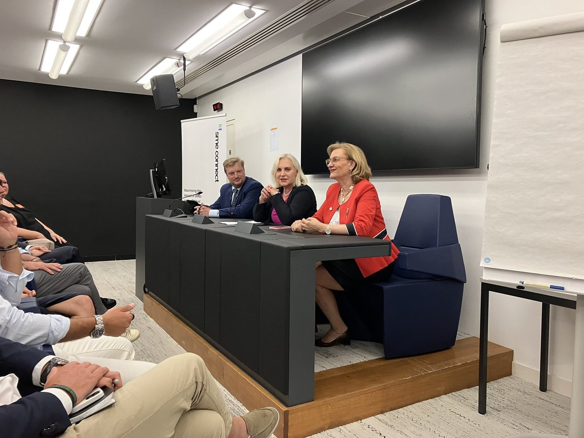 The #EuropeanYearofSkills, #entrepreneurship, as well as upskilling, reskilling and the future of work under discussion today at the <a href="/Europarl_EN/">European Parliament</a> <a href="/connectsmes/">SME Connect</a> in Strasbourg with <a href="/AngelikaWinzig/">Angelika Winzig</a>, <a href="/MariaGrapini/">Maria Grapini</a>, <a href="/BenoitHaecker/">HAECKER BENOIT</a>, <a href="/Mathospy/">Mathieu Poulat</a>, @RMKanev and many others.