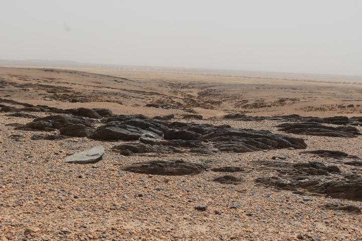InZawnaker's tweet photo. #Azawad
#Kidal
#Tinza Tidoukal, Tangamer ,In_Adjiltoum
#Azawad #AdrarDesIffoghas #Adagh #Ténéré #Désert #Marsafricain 🏜️📸 https://t.co/vzEFM0gMZ6