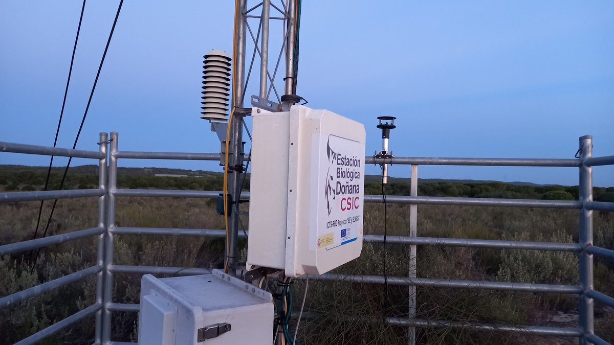 Irene Mendoza tweet media