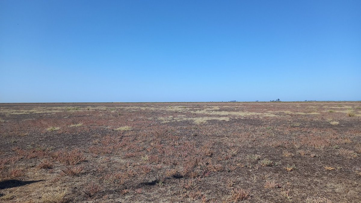 Irene Mendoza tweet media