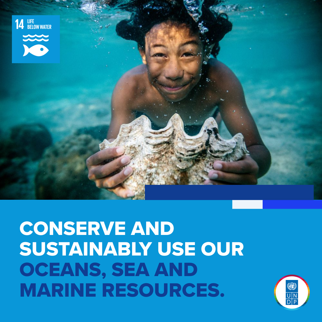 Without healthy oceans, we can't make the #GlobalGoals a reality. We need to act now and #SaveOurOcean. Learn more: go.undp.org/SDGs #OceanDecade