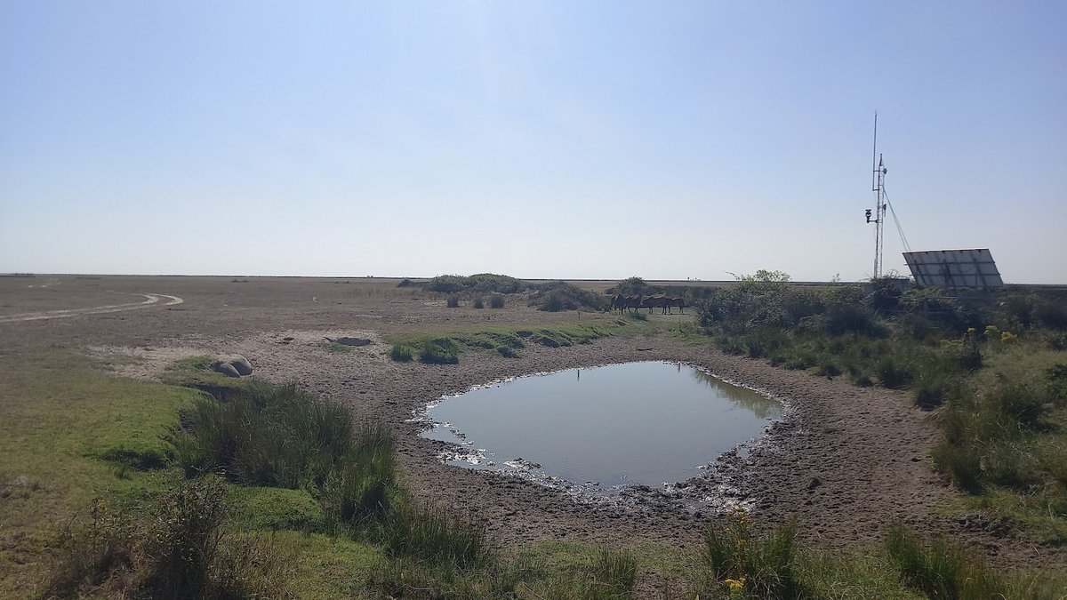 Irene Mendoza tweet media